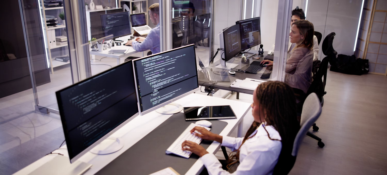 Penetration Testing: Finding Vulnerabilities Before Hackers Do